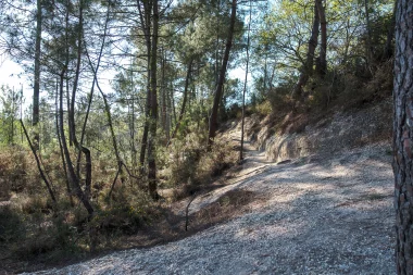 20220416 lac bleu leognan (8).